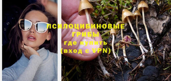Альфа ПВП Алексеевка