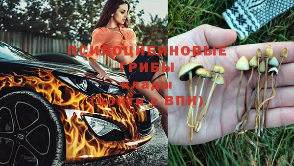 Альфа ПВП Алексеевка
