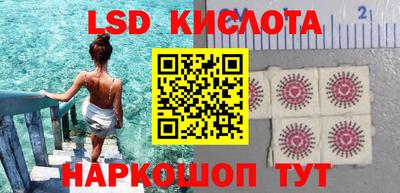 ПСИЛОЦИБИНОВЫЕ ГРИБЫ Лесной