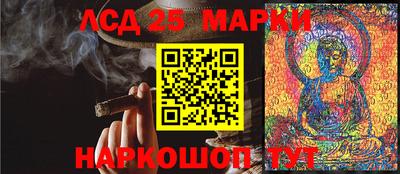 ПСИЛОЦИБИНОВЫЕ ГРИБЫ Лесной