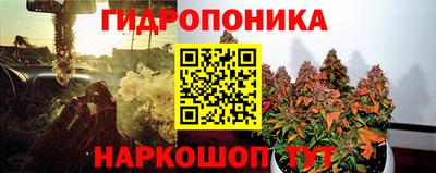 ПСИЛОЦИБИНОВЫЕ ГРИБЫ Лесной
