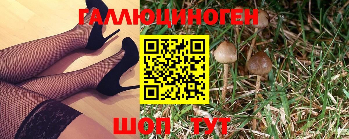 Псилоцибиновые грибы Psilocybe Одинцово