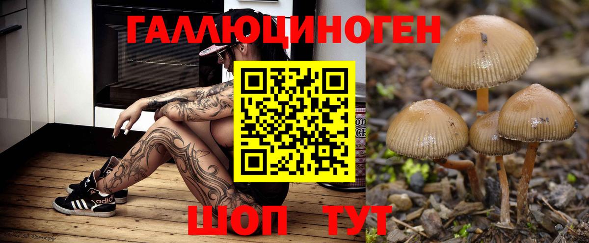 Одинцово  Псилоцибиновые грибы прущие грибы  Галлюциногенные грибы Psilocybe  Вход с VPN 